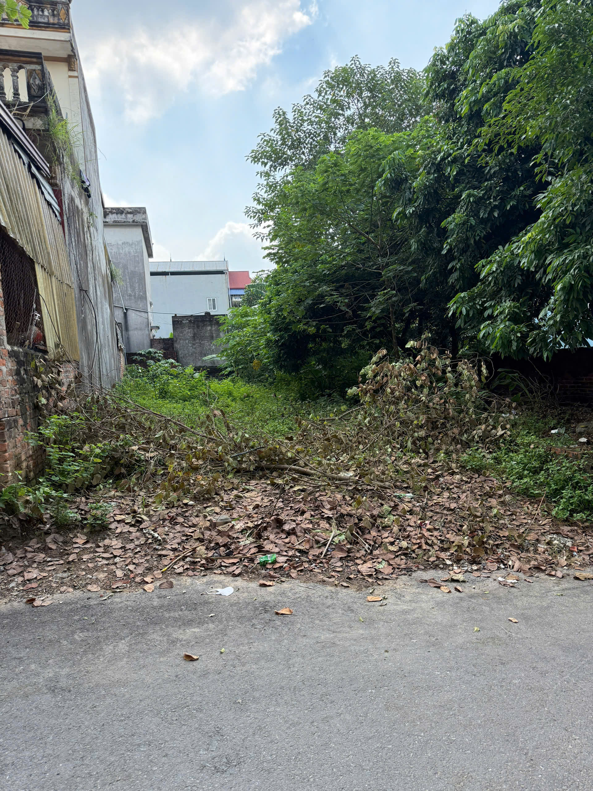 BÁN ĐẤT GIÁ CỰC TỐT – XUÂN HÒA, PHÚ THỌ
