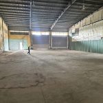  10000m2 - 6