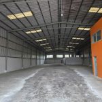  1000m2 - 6