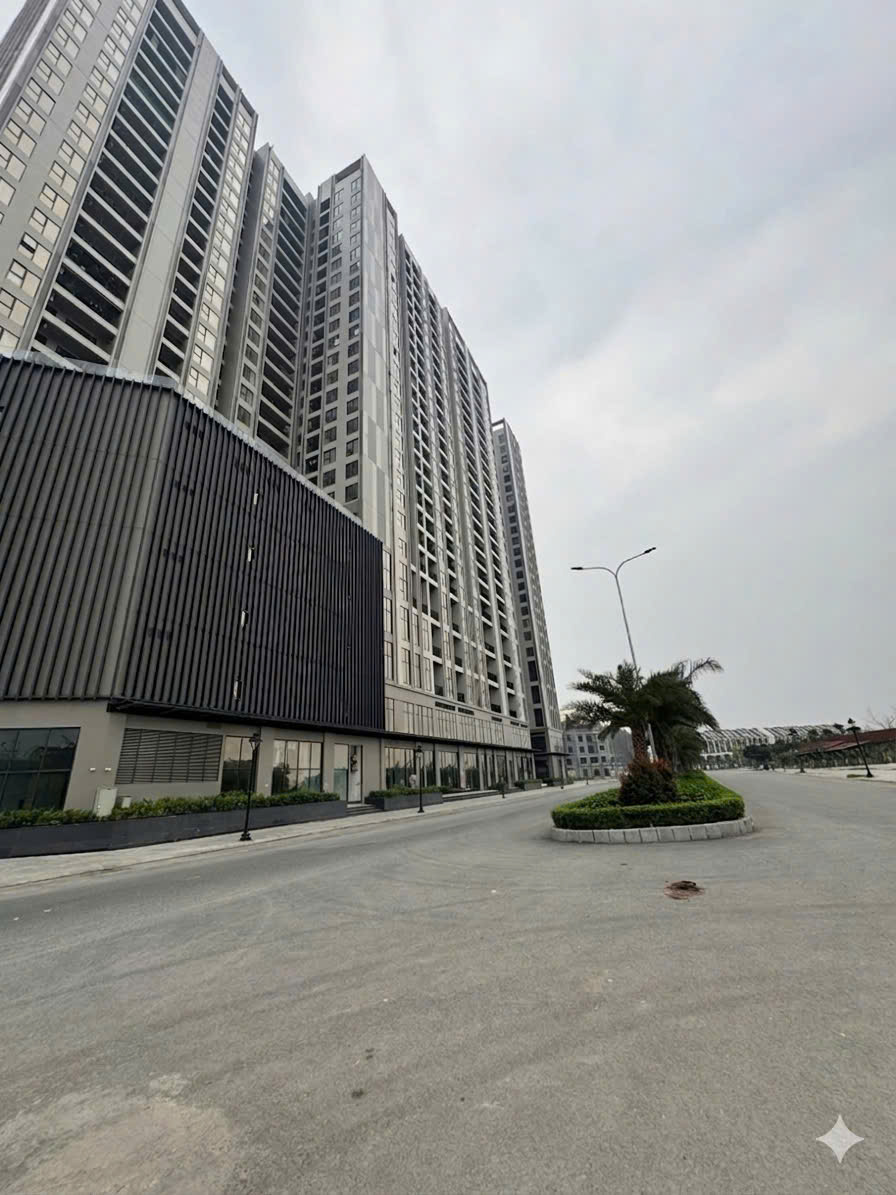 QUỸ CĂN CHUYỂN NHƯỢNG WISTERIA HOÀI ĐỨC GIÁ TỐT THÁNG 3/2026
