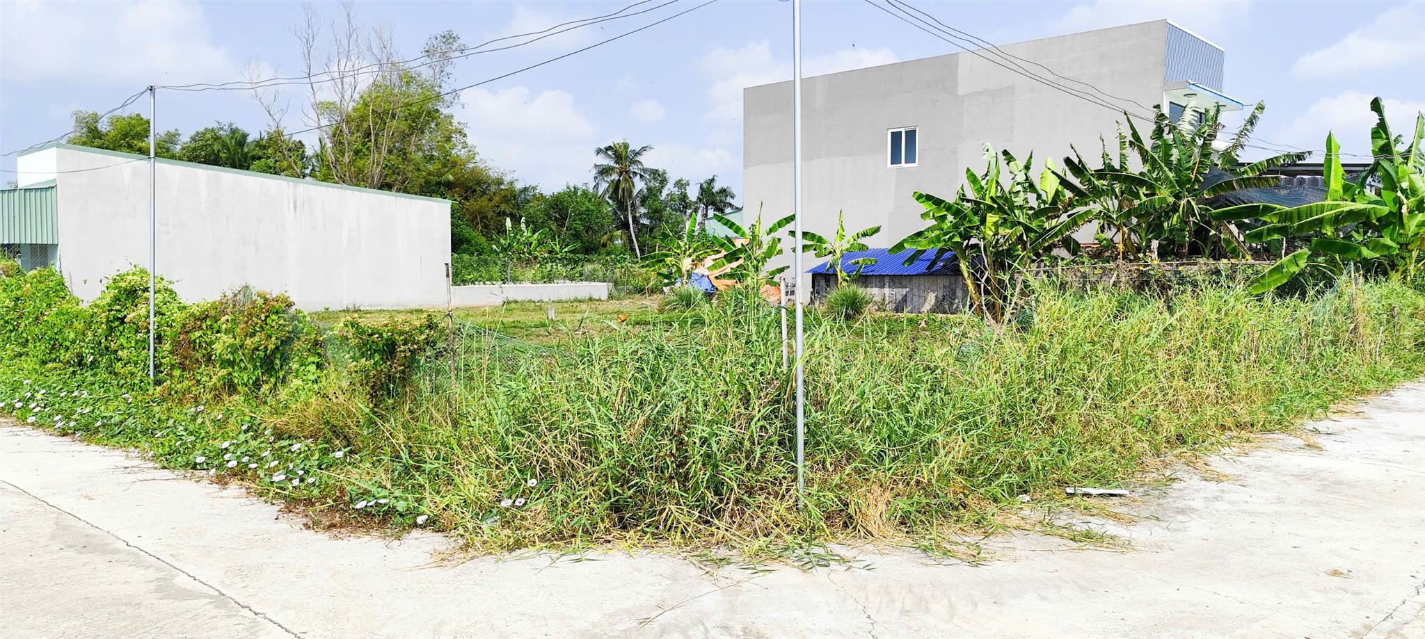 Giá tốt 1,1 tỷ (còn thương lượng) - 201m2 đất thổ cư 2 mặt tiền xã Phước Vân, Cần Đước, Long An