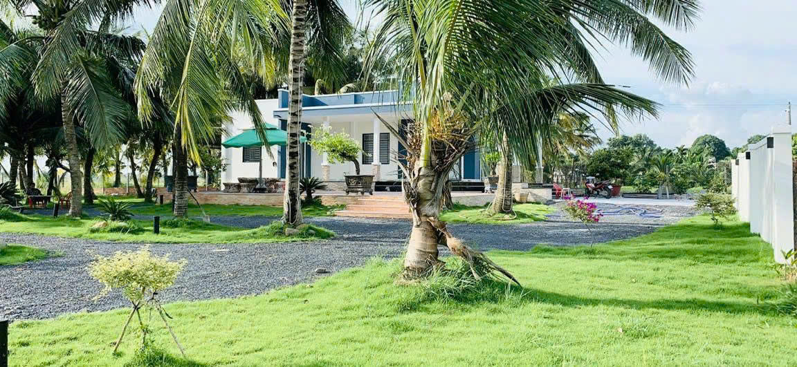 NHÀ VƯỜN 6.000M² – “THIÊN ĐƯỜNG XANH” GIỮA LÒNG CỦ CHI - CHỈ 2.5TR/M² – GIÁ QUÁ HỜI