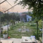  2924m2 - 4