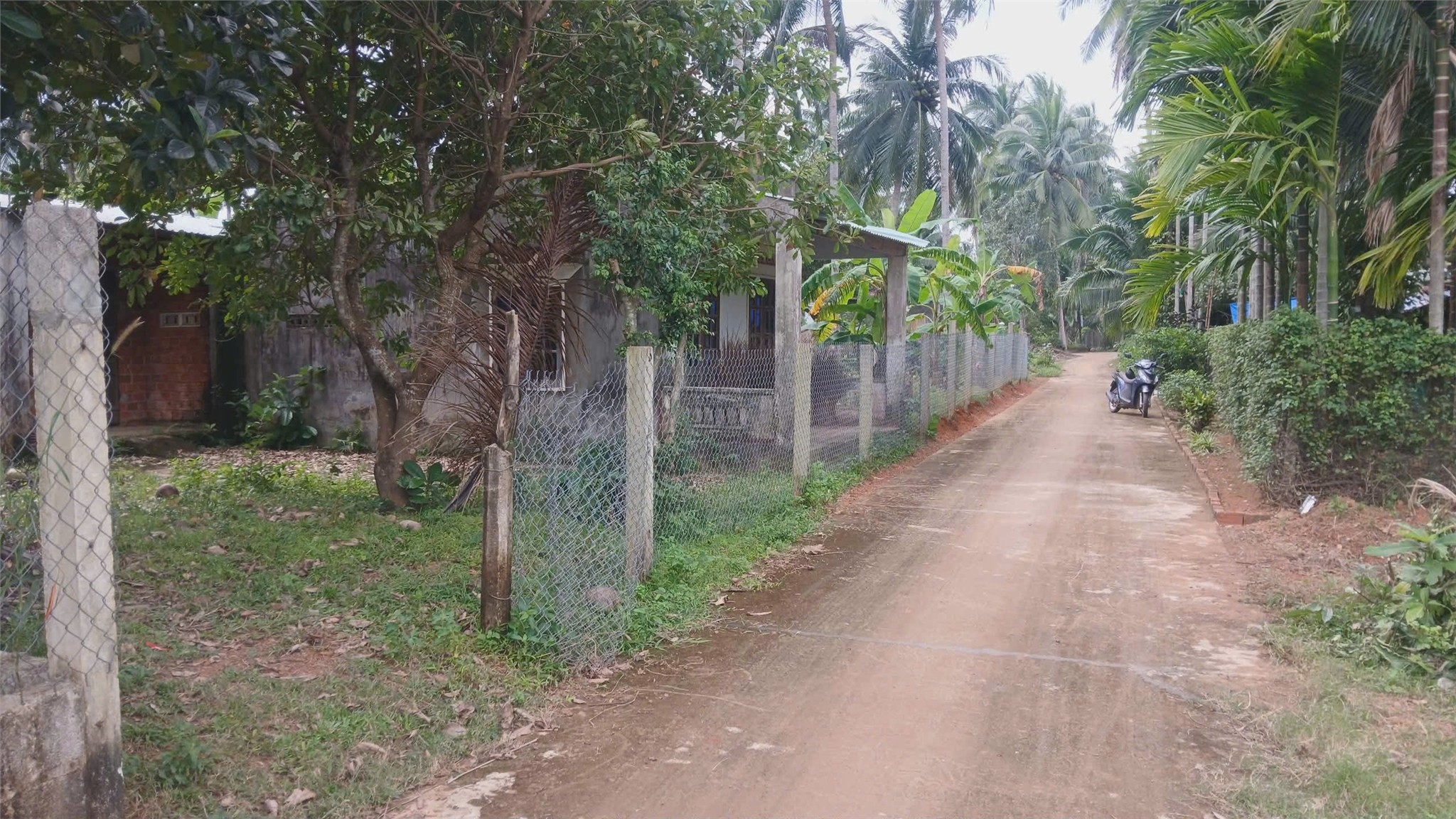 ĐẤT ĐẸP – GIÁ TỐT –CHÍNH CHỦ CẦN BÁN ĐẤT đường trần tôn thất, hoài xuân, thị xã hoài nhơn, bình định