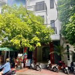  79m2 - 1