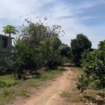 3000m2 - 3