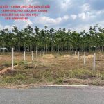  250m2 - 1