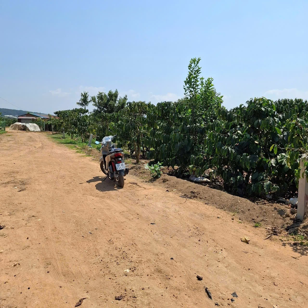 ĐẤT ĐẸP – GIÁ TỐT – CHÍNH CHỦ CẦN BÁN NHÀ Thôn Phúc Hợp, Phúc Thọ, Lâm Hà, tỉnh Lâm Đồng