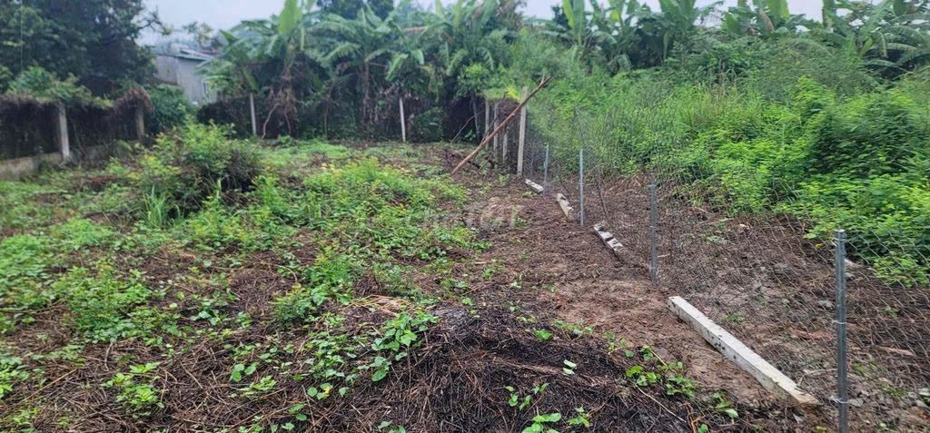 BÁN ĐẤT MẶT TIỀN ĐƯỜNG TỈNH 746, XÃ TÂN MỸ, BẮC TÂN UYÊN, BÌNH DƯƠNG – 330m² GIÁ TỐT