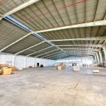  5000m2 - 3