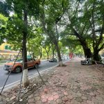  50m2 - 1