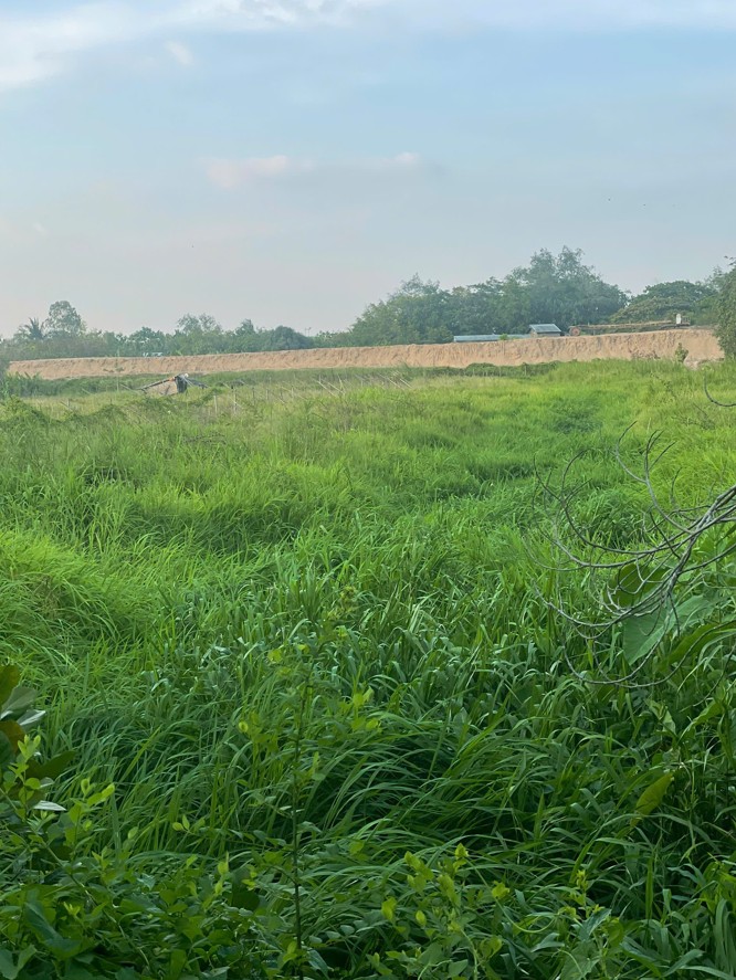 BÁN 3000M2 (15x200) - ĐẤT CÁI RĂNG, TP Cần Thơ - LỘ 91C 40m đang thi công - VIEW Sông gạch Ông Tiêm