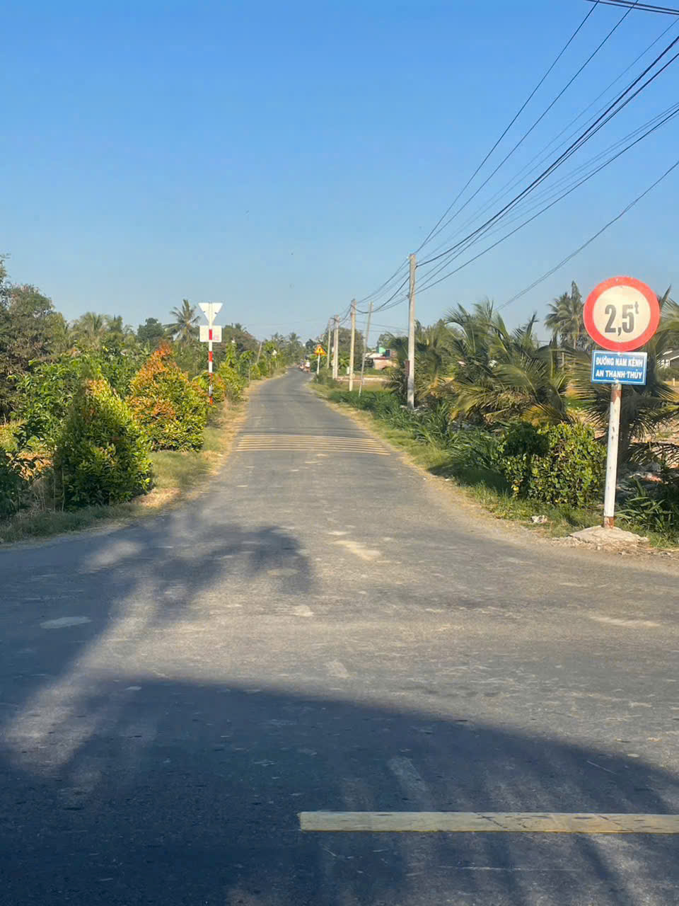 Chính chủ cần bán đất nền Ấp Bình Cách, xã Yên Luông, Gò Công Tây, Tiền Giang (cũ)