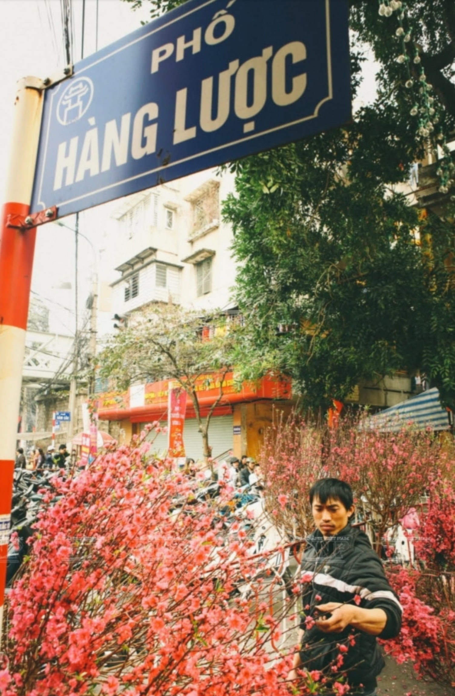 HÀNG LƯỢC – PHỐ CỔ HOÀN KIẾM – 25M² – DÒNG TIỀN 30TR/THÁNG Tài sản phố cổ hiếm – vừa giữ tiền, vừa tạo tiền đều đặn