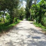  10000m2 - 1