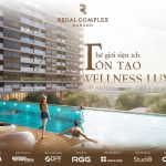  100m2 - 5
