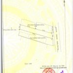  100m2 - 1