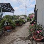  90m2 - 3