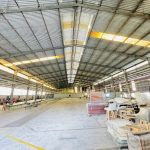  5000m2 - 4