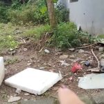  50m2 - 4