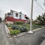  45m2 - 4