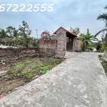  55m2 - 5