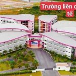  100m2 - 6