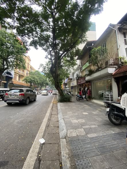 Mặt Phố Huế 1 Sổ 1 Chủ 100M2 80 Tỷ Sổ Đẹp Nở Hậu Đoạn đẹp nhất phố
