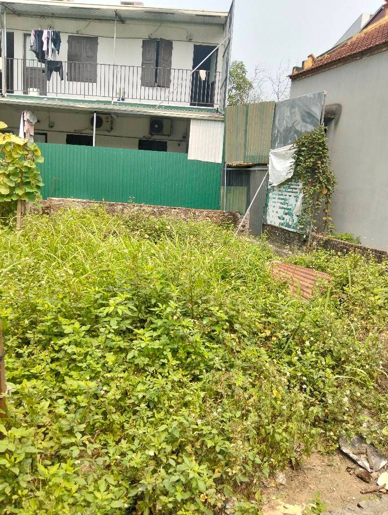 Bán đất giáp nhị 75M ô tô cách vài bước chân hoàng mai