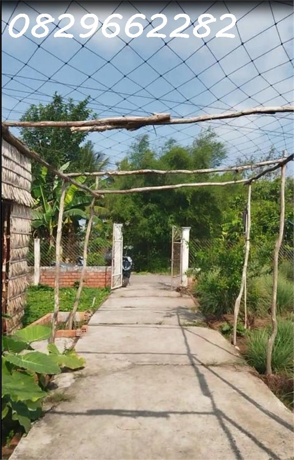 Bán Đất Thổ Cư 864m2 Sổ Hồng đường Nguyễn An Ninh Tân Quy Đông, Sa Đéc, Đồng Tháp, giá 2.5 Tỷ