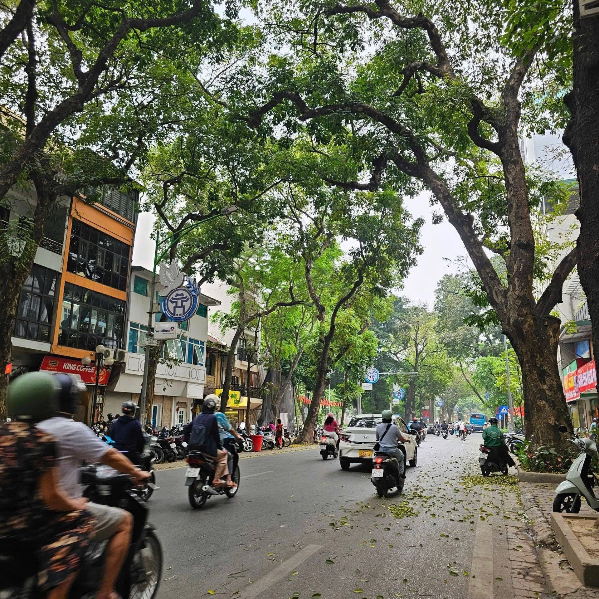 Quán Thánh – BÁN NHÀ 5 TẦNG – 50M² – 17.5 TỶ BA ĐÌNH