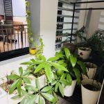  60m2 - 4