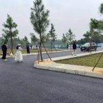  100m2 - 1