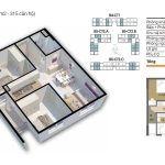  56m2 - 6