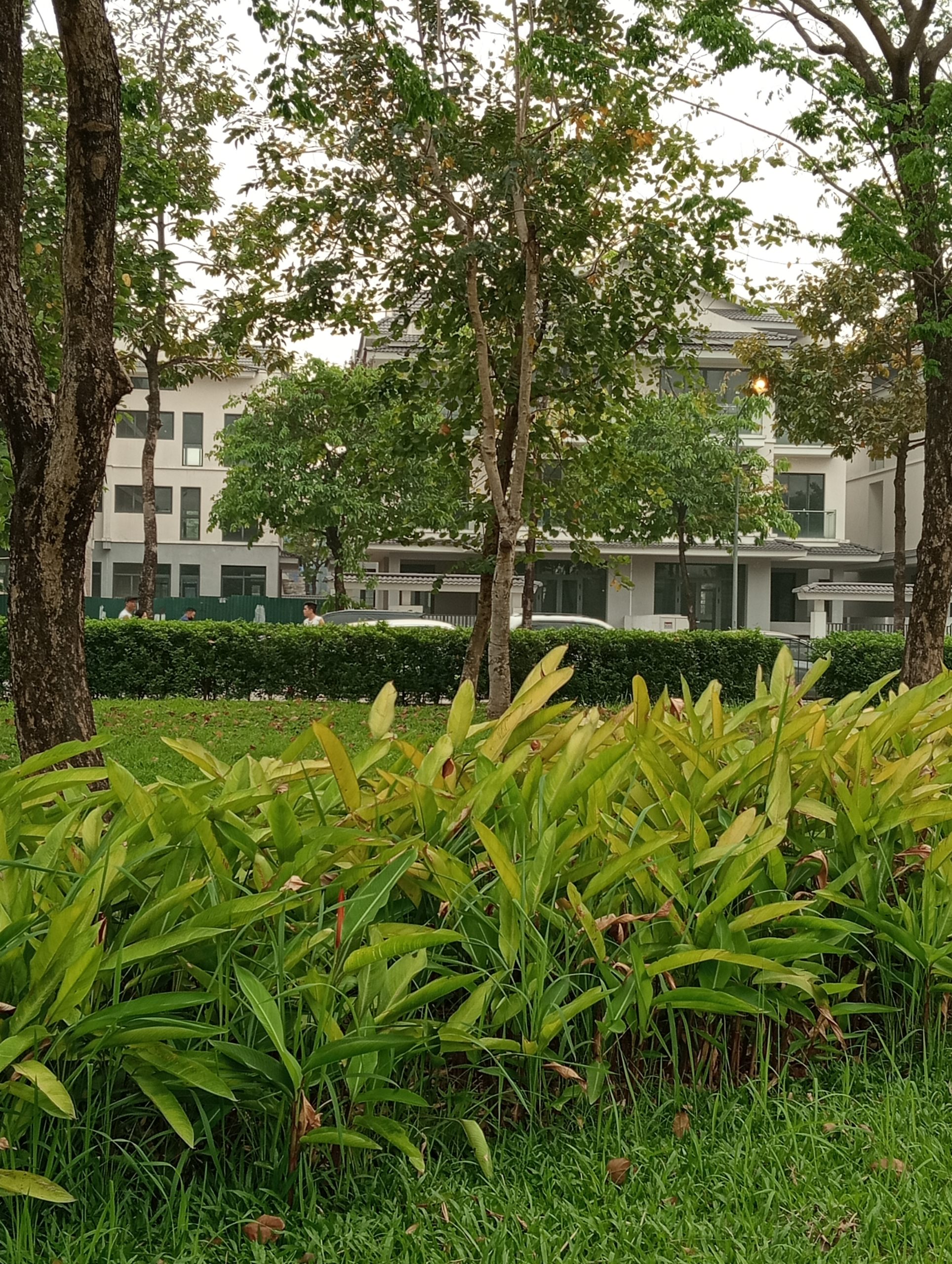 Ban biệt thự Dương Nội, Hà Đông, 200m, nhỉnh 40 tỷ