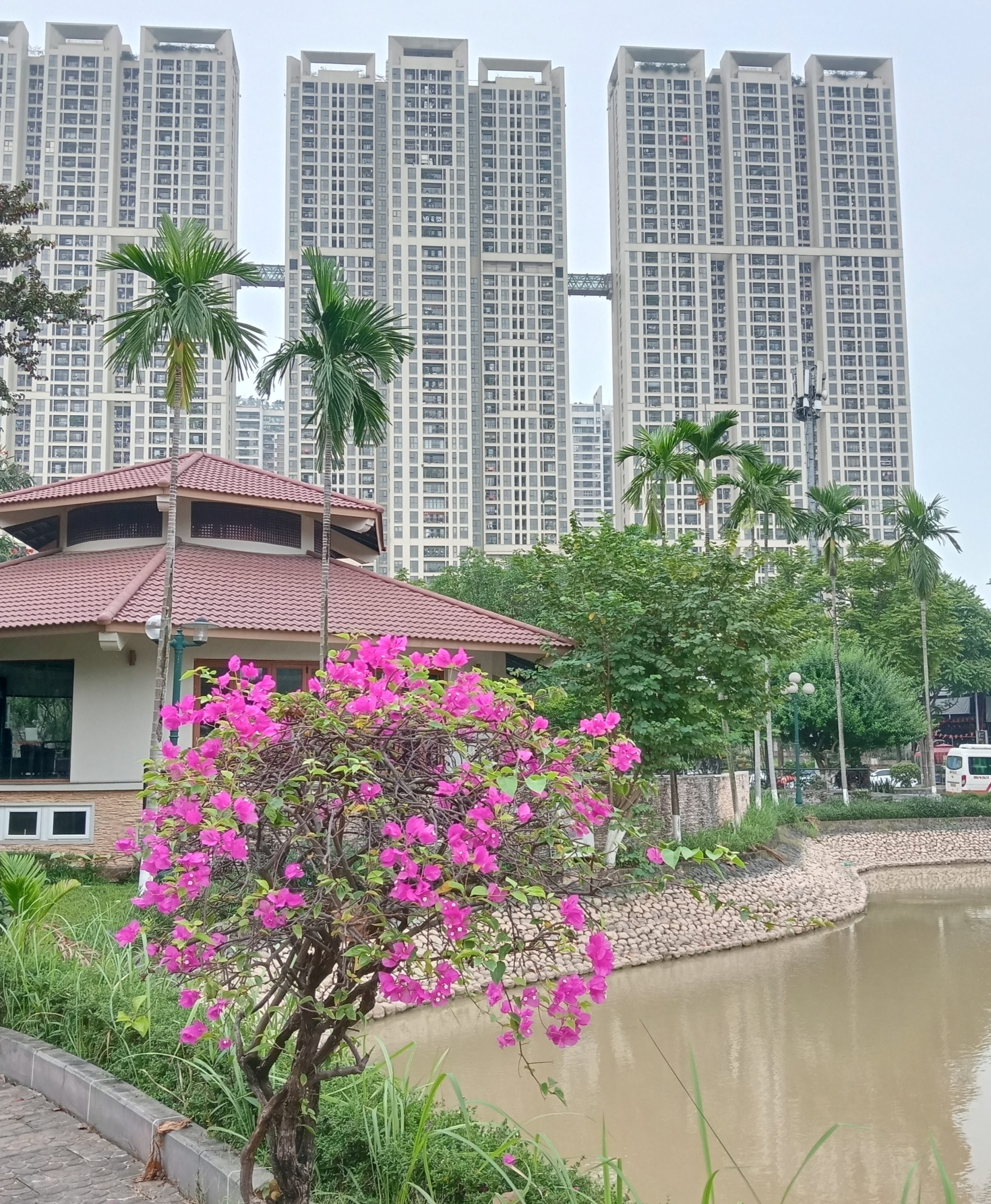 Ban chung cư Tera An Hưng, Hà Đông, 90m, 7ty7