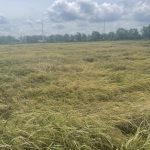  10000m2 - 1
