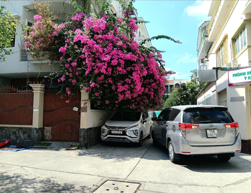 Khu Biệt Thự Q.5 Ngang 8m Dài 18,8m - 4 Tầng - Chỉ Hơn 40 Tỷ - Toàn Khu Vực Chỉ Đúng 1 Căn Chính Chủ Đứng Tên - Pháp Lý Minh Bạch