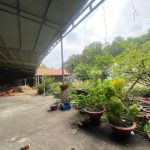  2500m2 - 5