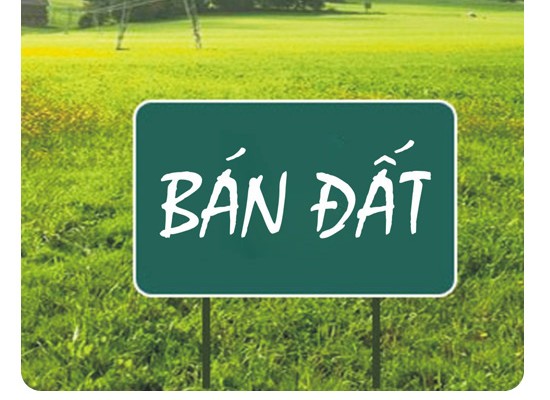 Bán lô đất 100m2 Mặt Tiền Đường Phù Lưu - phường Quảng Thắng - TP Thanh Hoá.