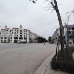  100m2 - 1