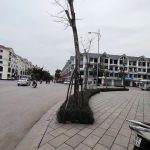  100m2 - 4