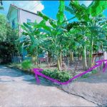  50m2 - 3