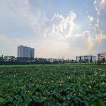  31m2 - 4