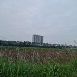  80m2 - 3