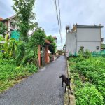  60m2 - 1