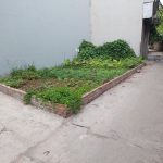  50m2