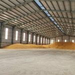  1100m2 - 1