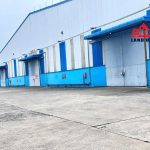  6000m2 - 1