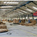  30000m2 - 1